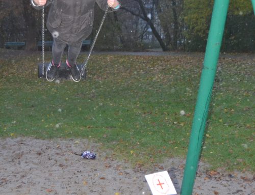 Das Laimer Jugendzentrum: Schaukel