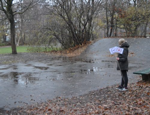 Das Laimer Jugendzentrum: Halfpipe