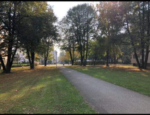 Freizeittreff Lerchenauer: Park an der Reinachstrasse