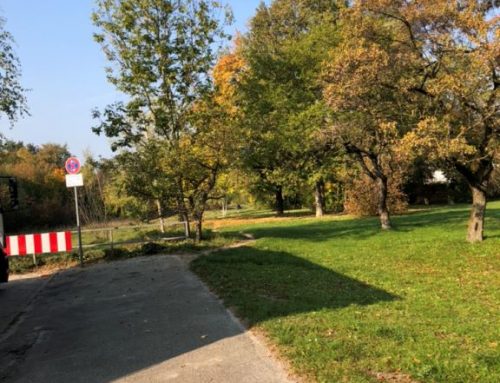 Freizeittreff Lerchenauer: Parkplatz am Wochenmarkt vom Lerchenauer See