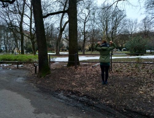 PSG Schulstamm München Au: Nußbaumpark